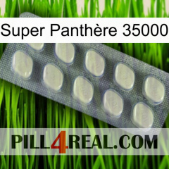 Super Panthère 35000 08